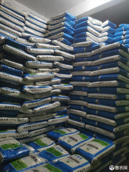 白芝麻價格趨勢與行業(yè)應(yīng)用分析