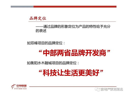 房地產營銷策劃思路精髓